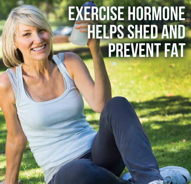 Exercise Hormone Helps Shed Fat